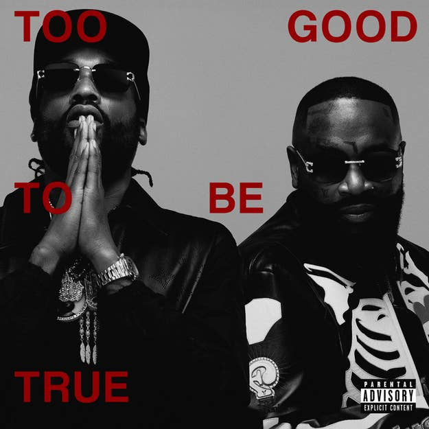 #TRUSTALKS -"Buckle Up, Squads! Meek Mill and Rick Ross Just Dropped 'Too Good to Be True' - Let's Talk Real Talk!"